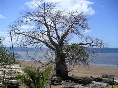 paysage de mayotte