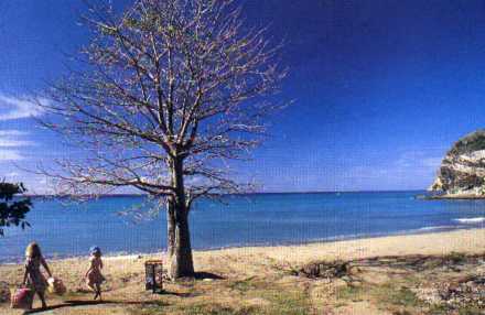 paysage de mayotte