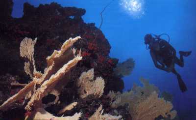 lagon de mayotte 